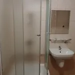 Smetek Apartment *